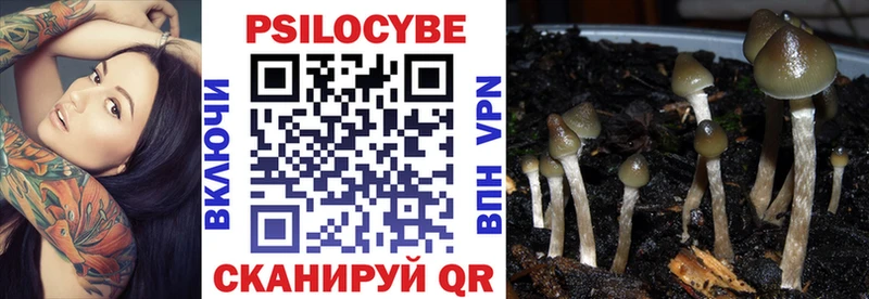 Псилоцибиновые грибы GOLDEN TEACHER  Колпашево 